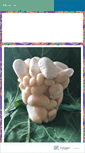 Mobile Screenshot of beautifulvenditti.ch